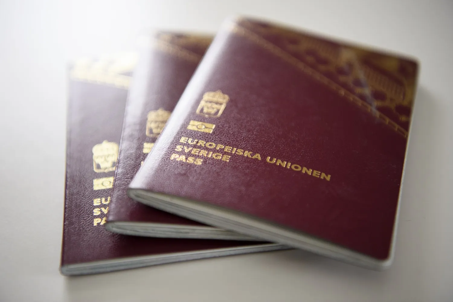 Members Q&A on Sweden's tightening of citizenship rules