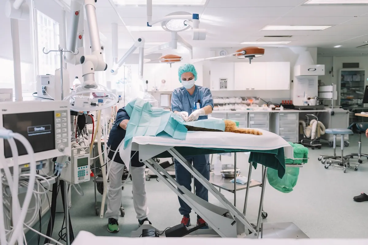 REVEALED: Migration Agency readies slimline Swedish work visa shortlist