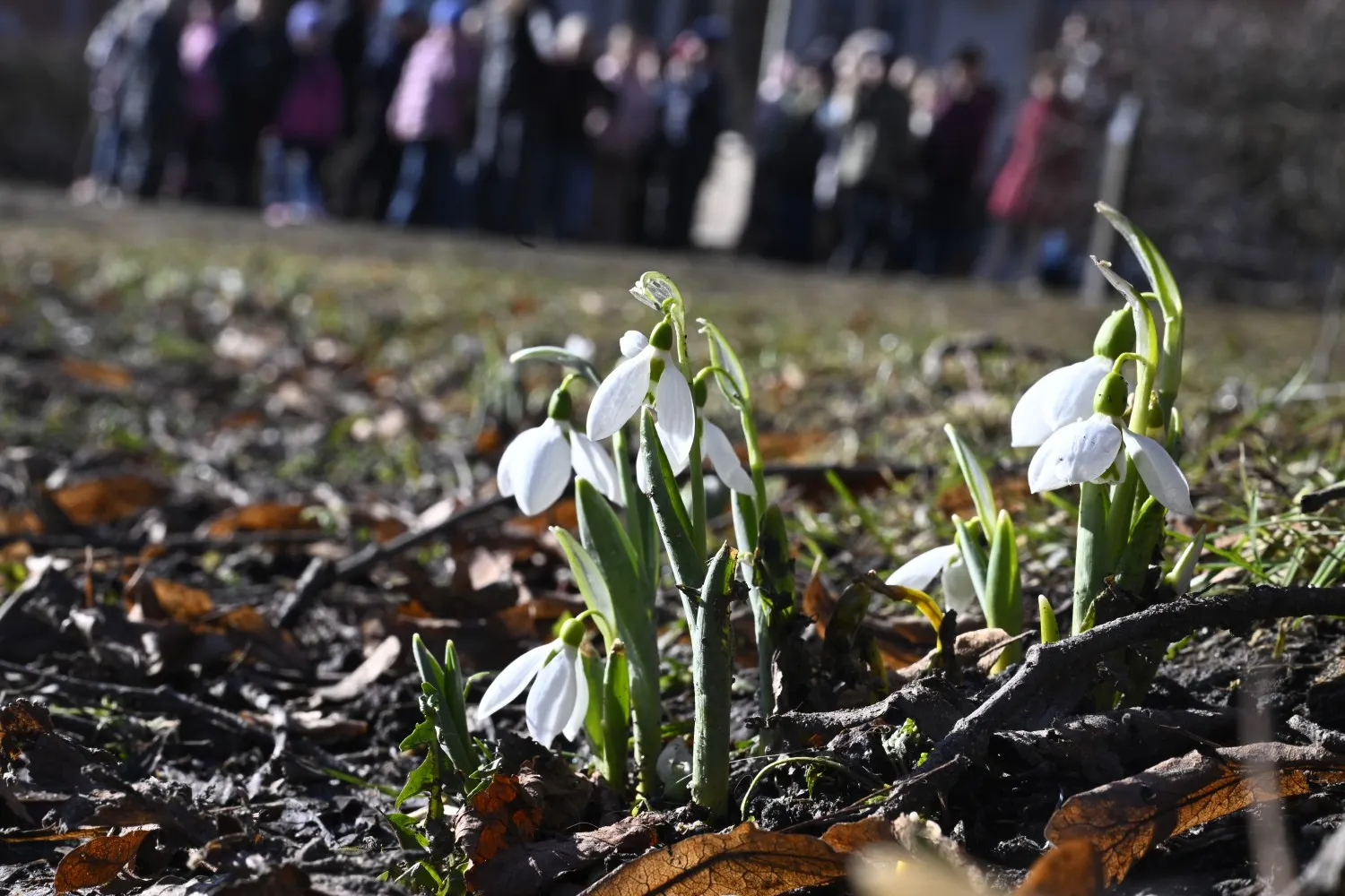 Inside Sweden: Swedish media need to start covering citizenship headaches