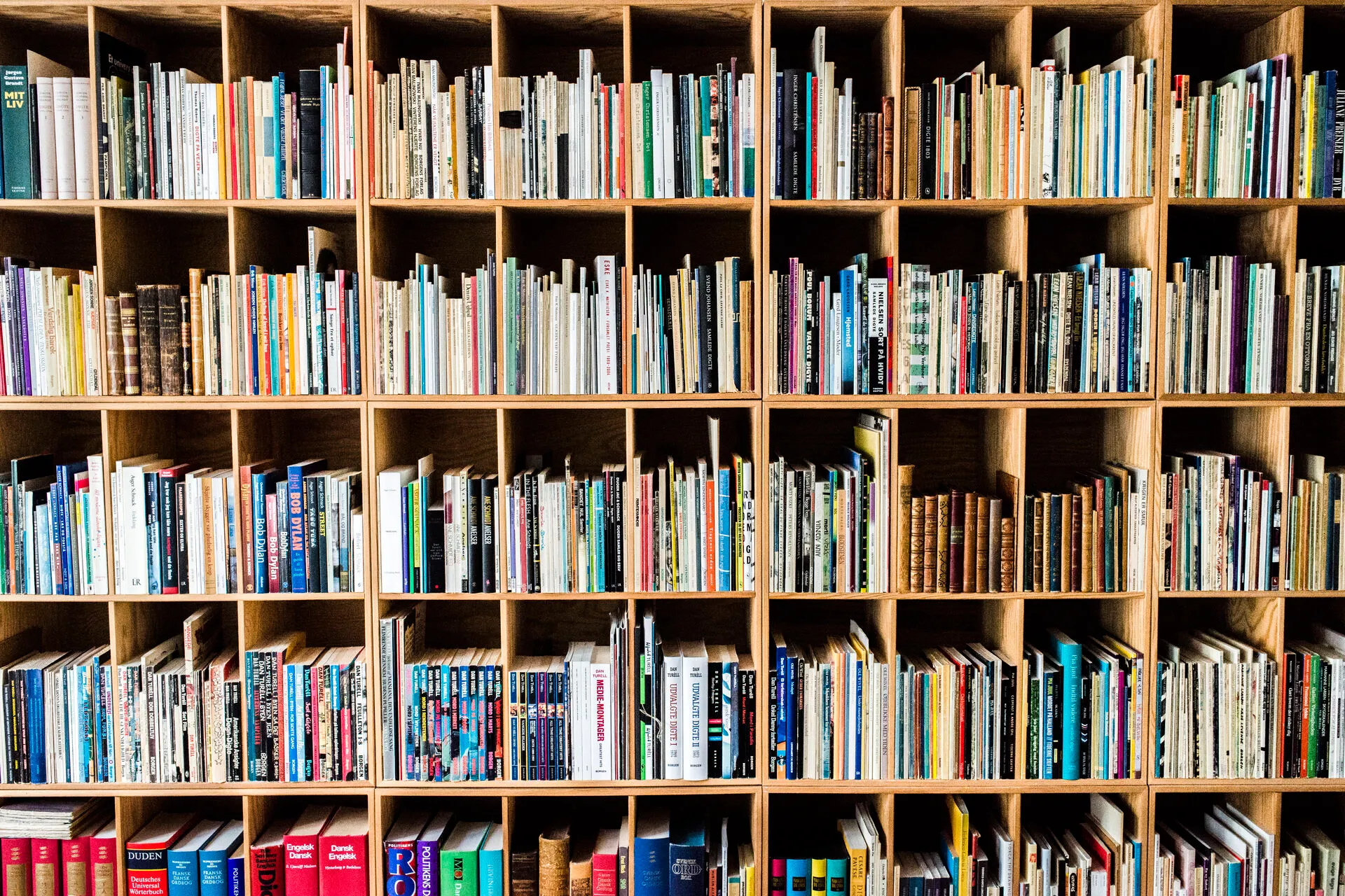 Danish language board launches campaign to combat English loanwords