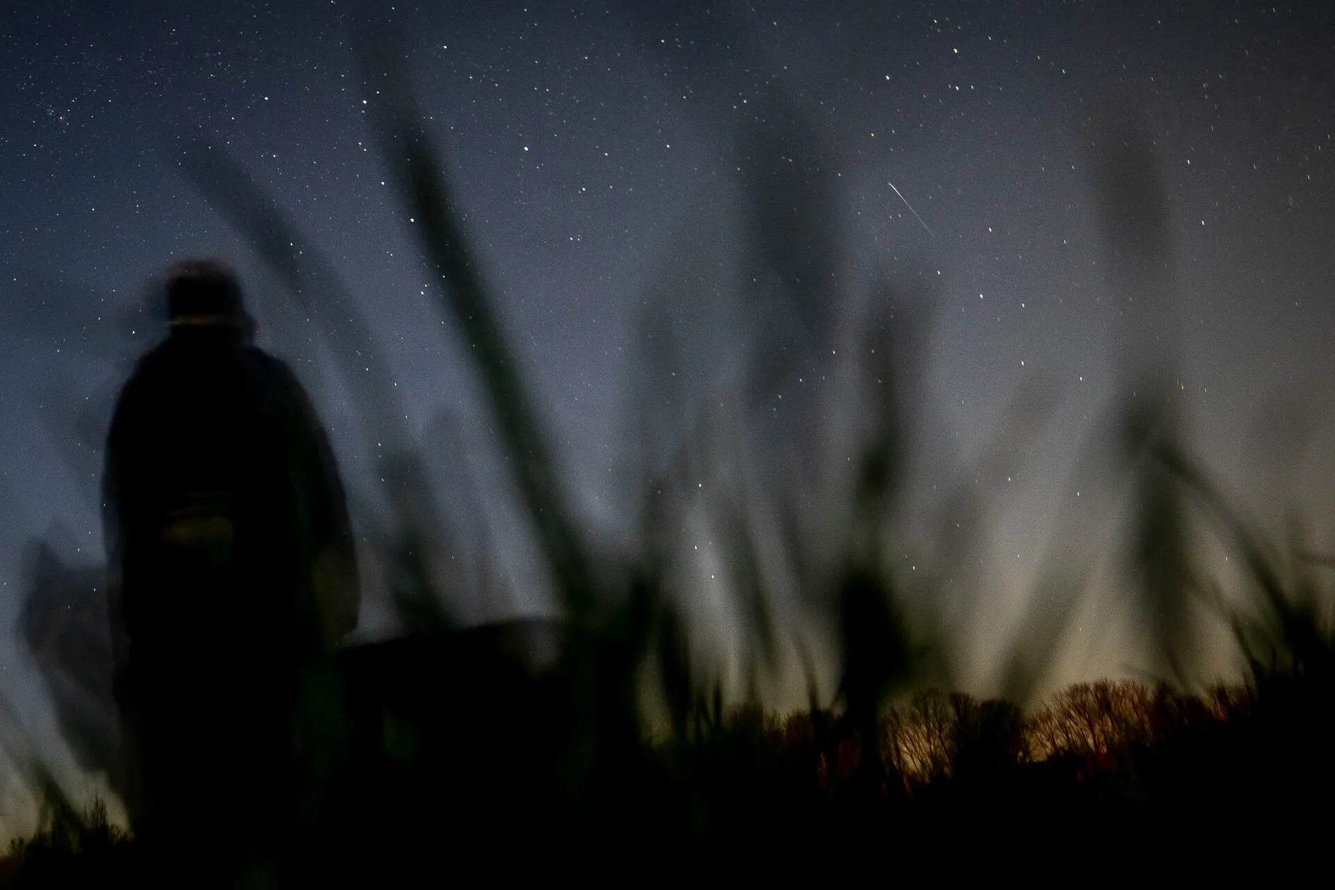 Meteor shower over Denmark tonight could bring 20 shooting stars an hour