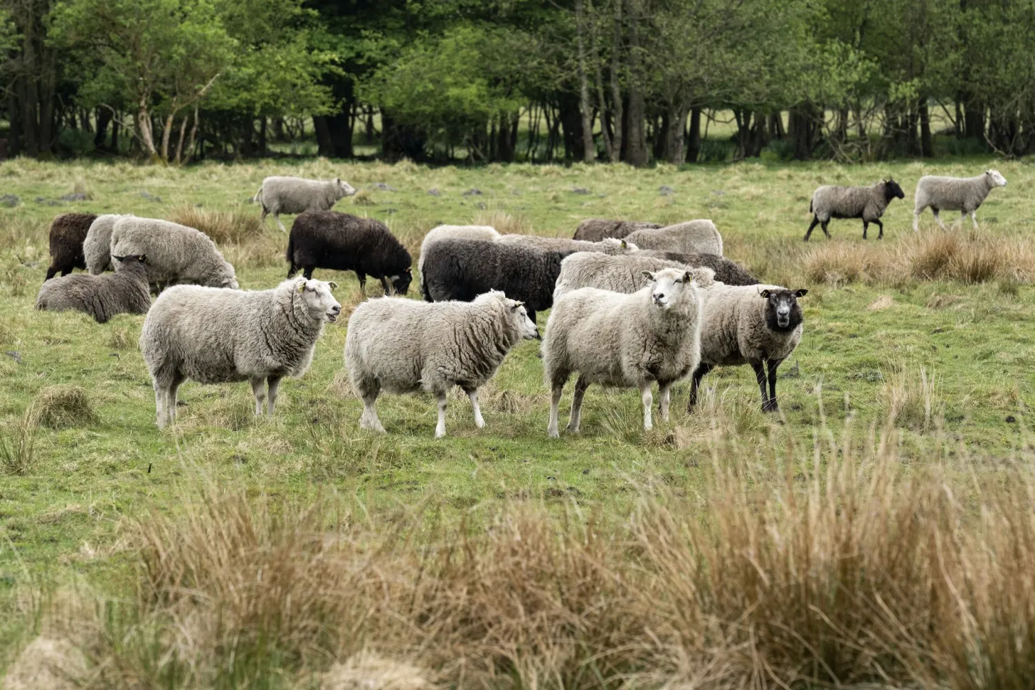 Today in Denmark: A roundup of the latest news on Thursday