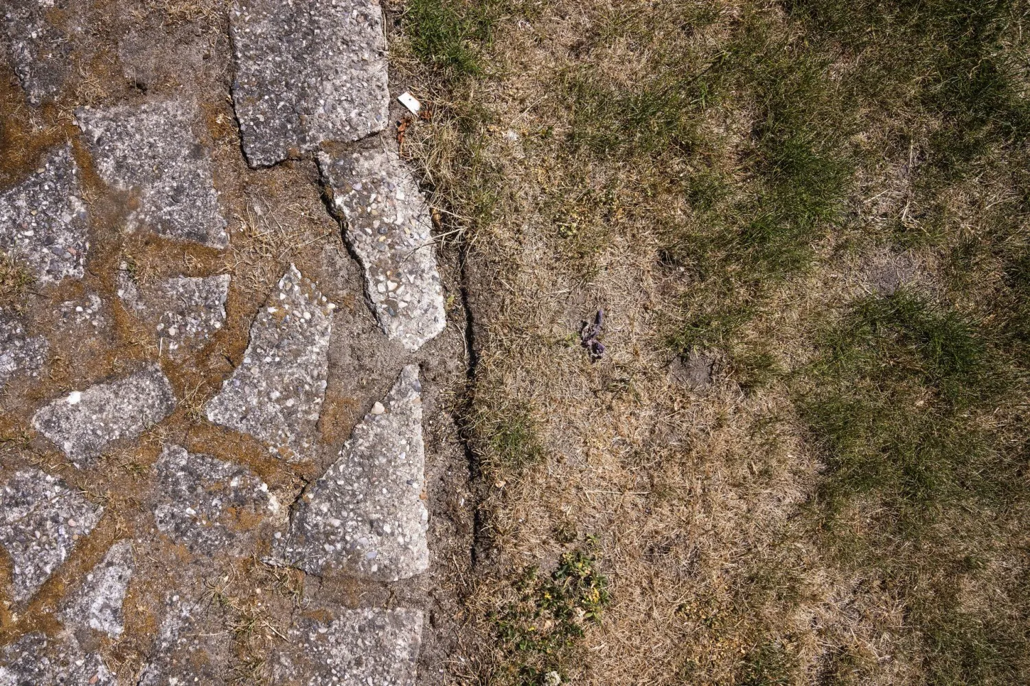 Dry spring weather puts parts of Denmark at risk of drought