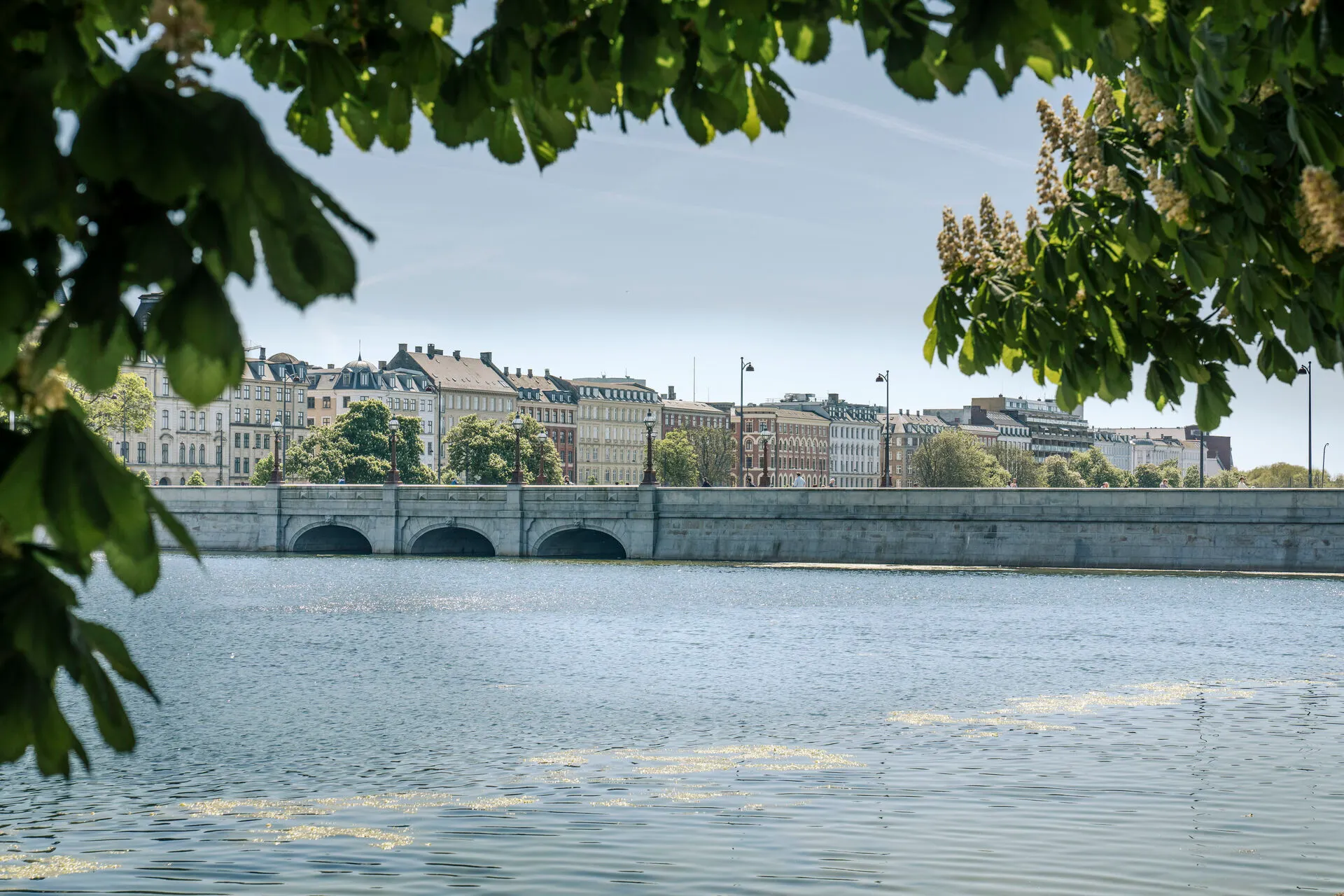 Today in Denmark: A roundup of the latest news on Friday