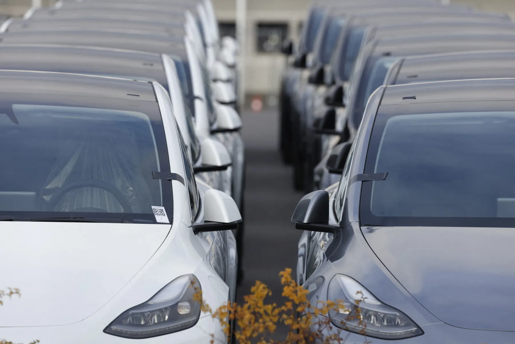 Tesla announces plan to add 1,000 jobs in Germany