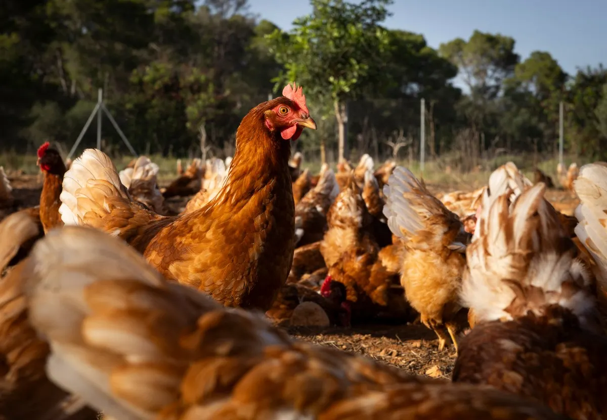 Today in Spain: A roundup of the latest news on Thursday