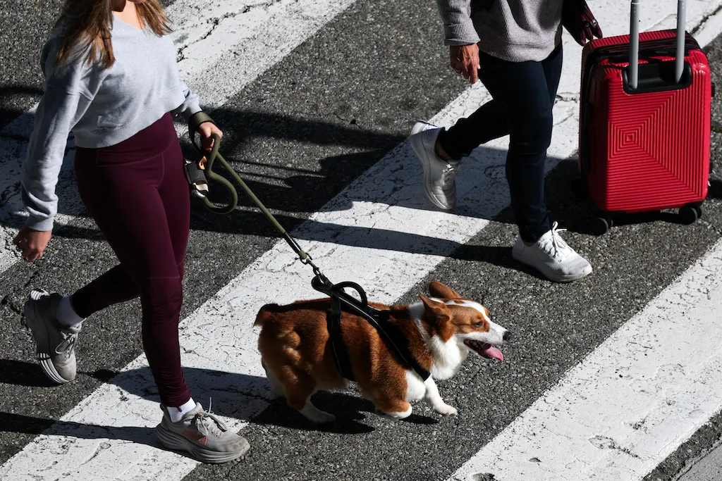 How does the 90-day rule work for partners of EU citizens?