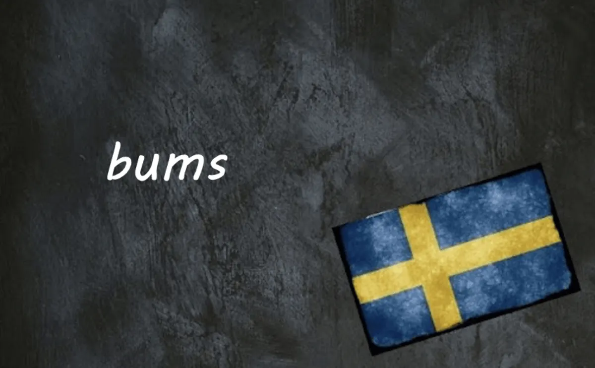 Swedish word of the day: bums