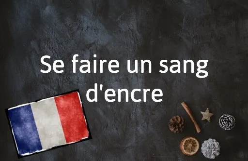 French Expression of the Day: Se faire un sang d'encre
