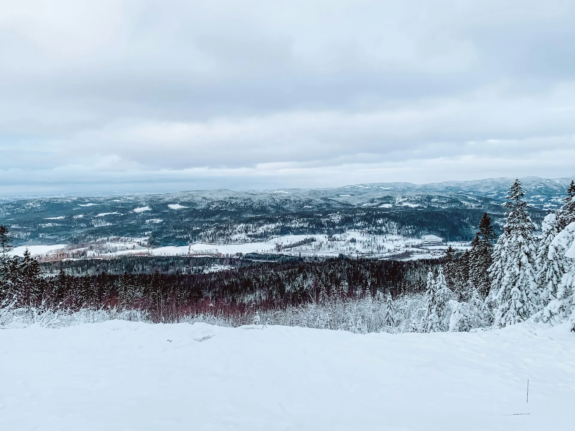 Avalanche in Norway kills two skiers