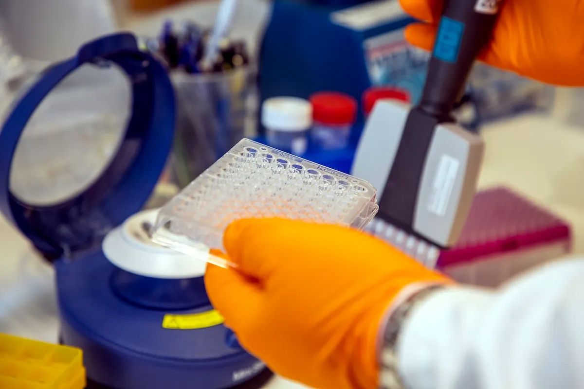 KEY POINTS: New law easing permit rules for researchers and PhDs in Sweden