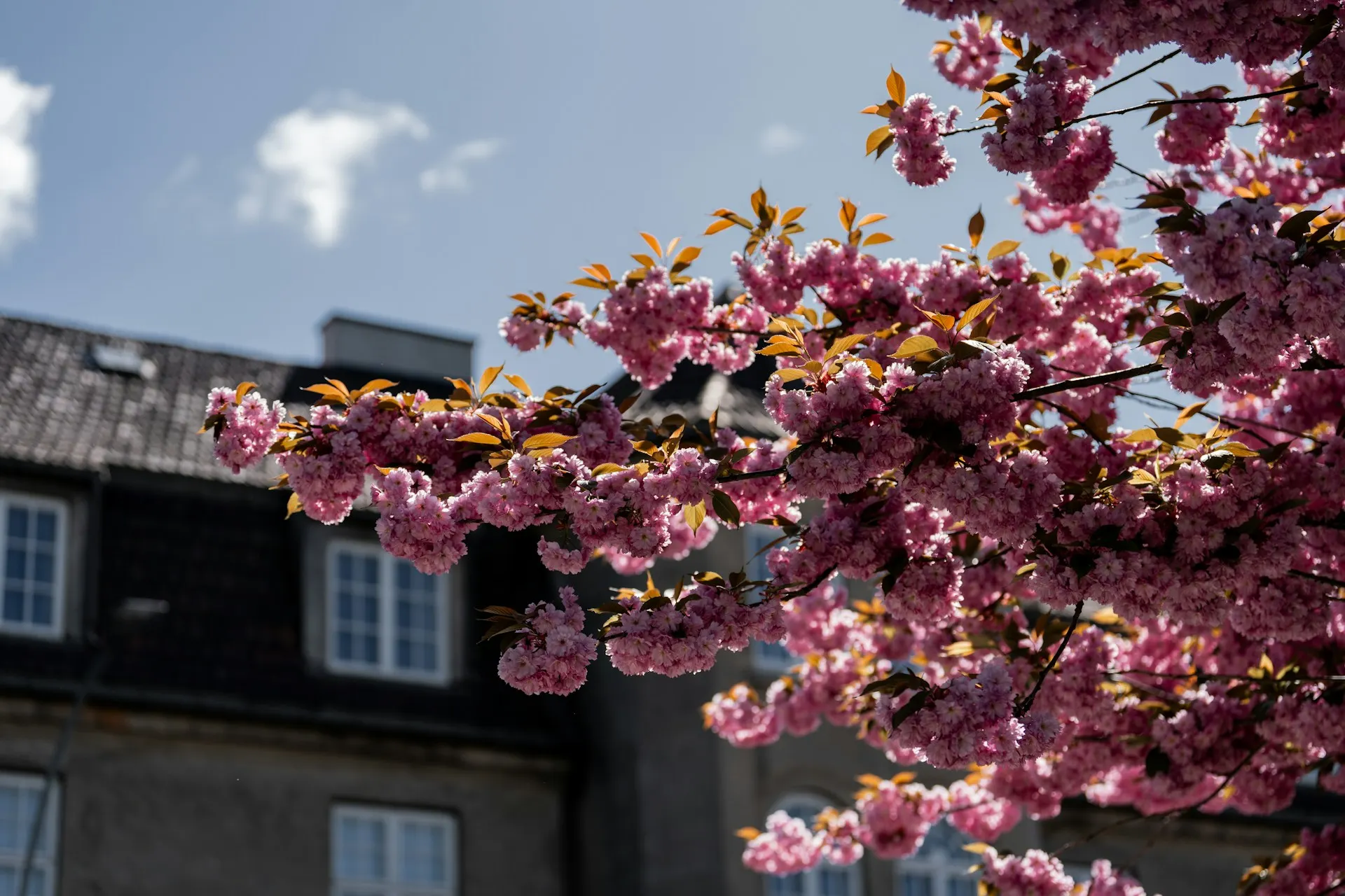 LISTED: The best things to do in Oslo in the spring