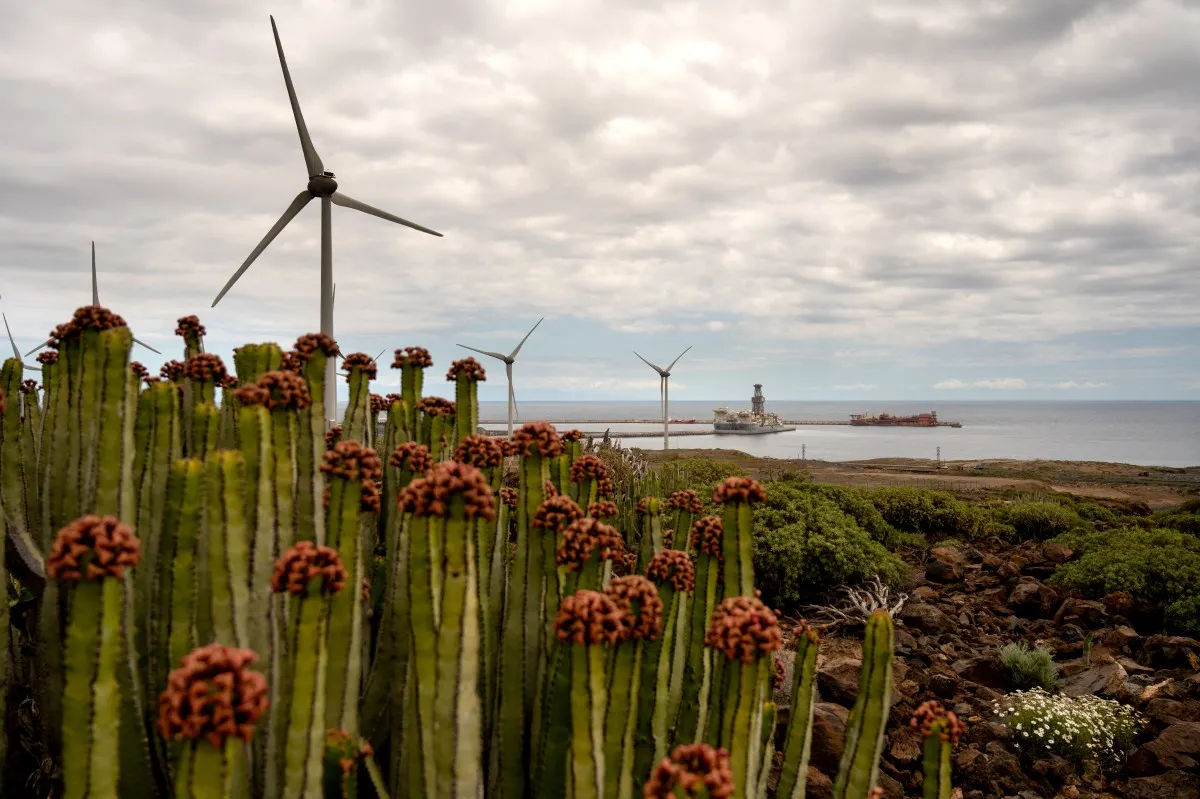 WHO chief due in Spain's Canary Islands for hantavirus ship evacuation