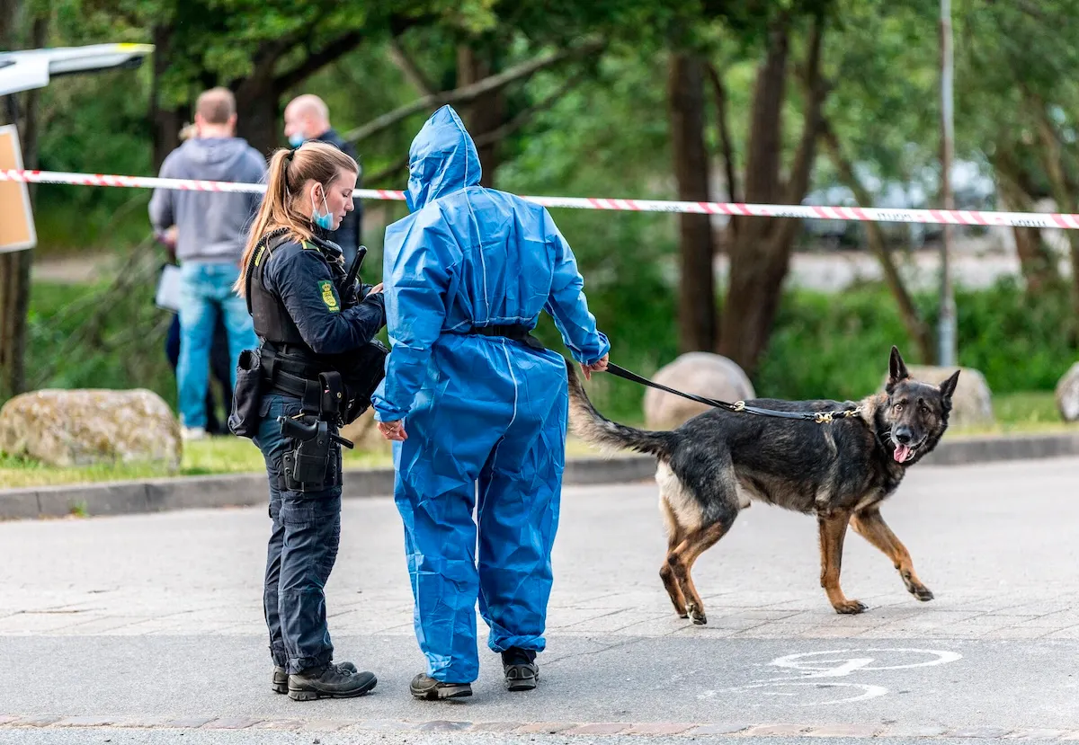 Today in Denmark: A roundup of the latest news on Wednesday