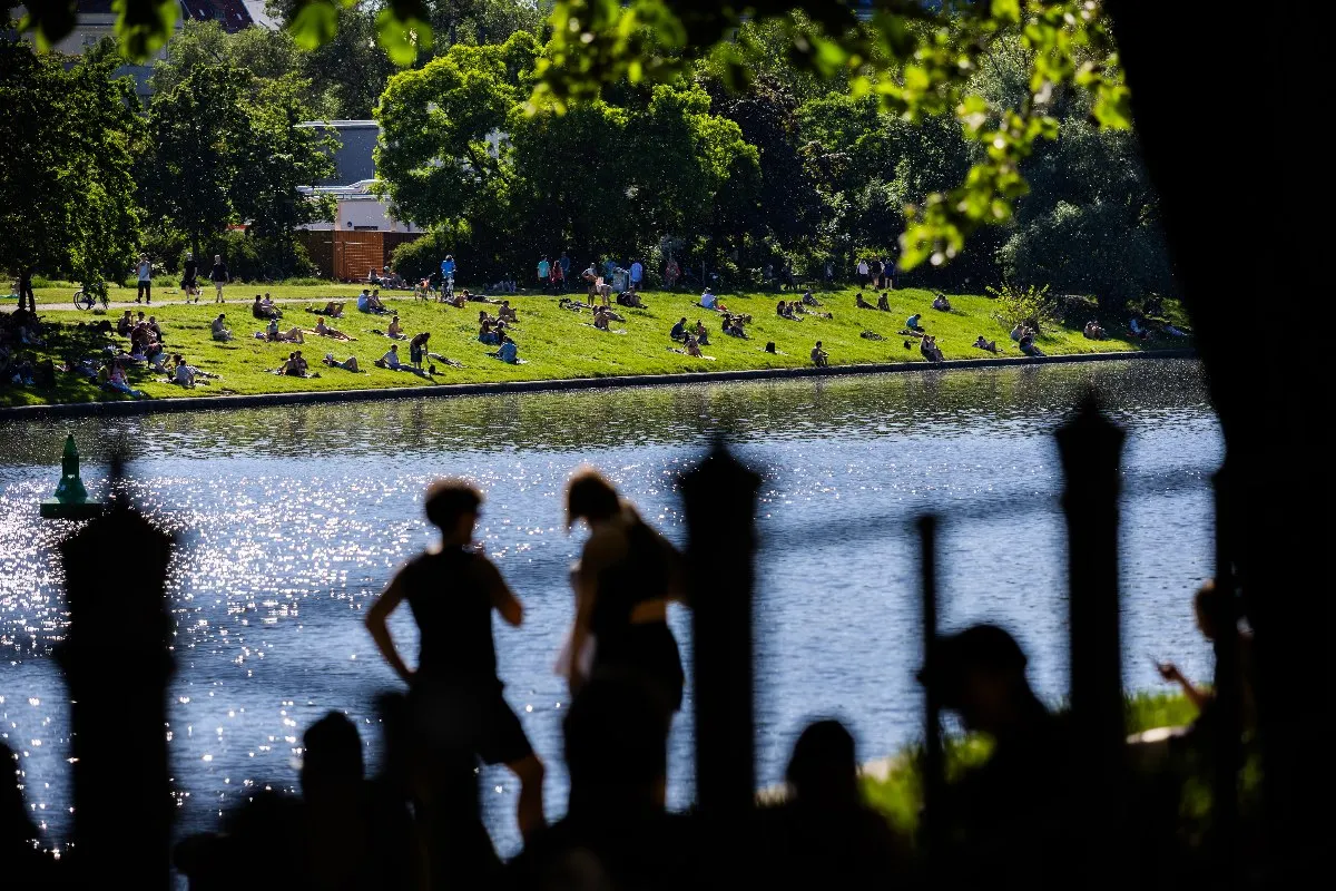 332,500 naturalisations: Who are the newest German citizens?