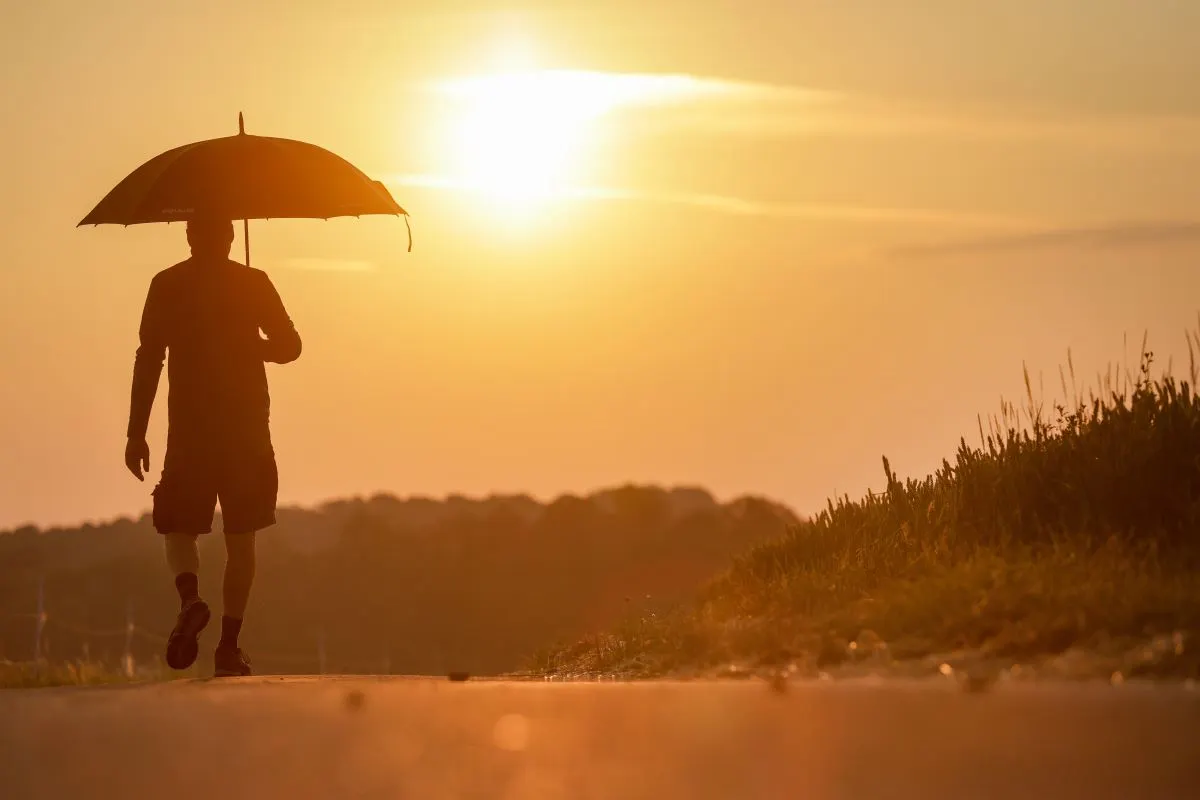 Wildfires and cancelled transport: How record-breaking high temperatures hit Germany