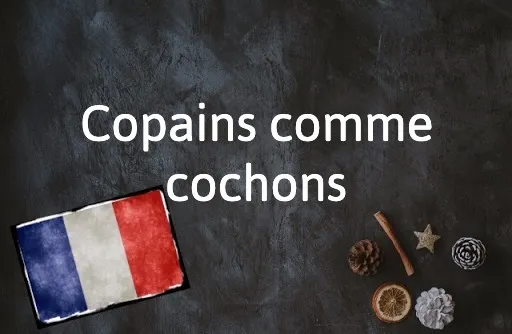 French Expression of The Day: Copains comme cochons