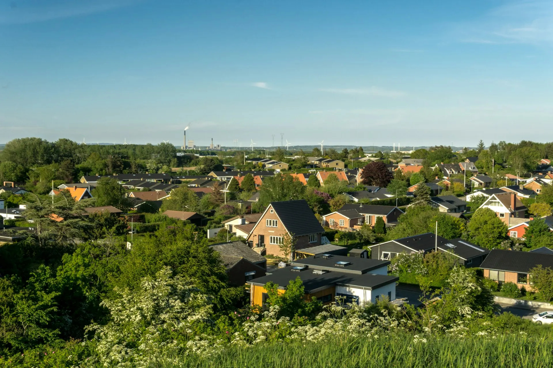 Denmark records hottest day on record at 37C: weather service