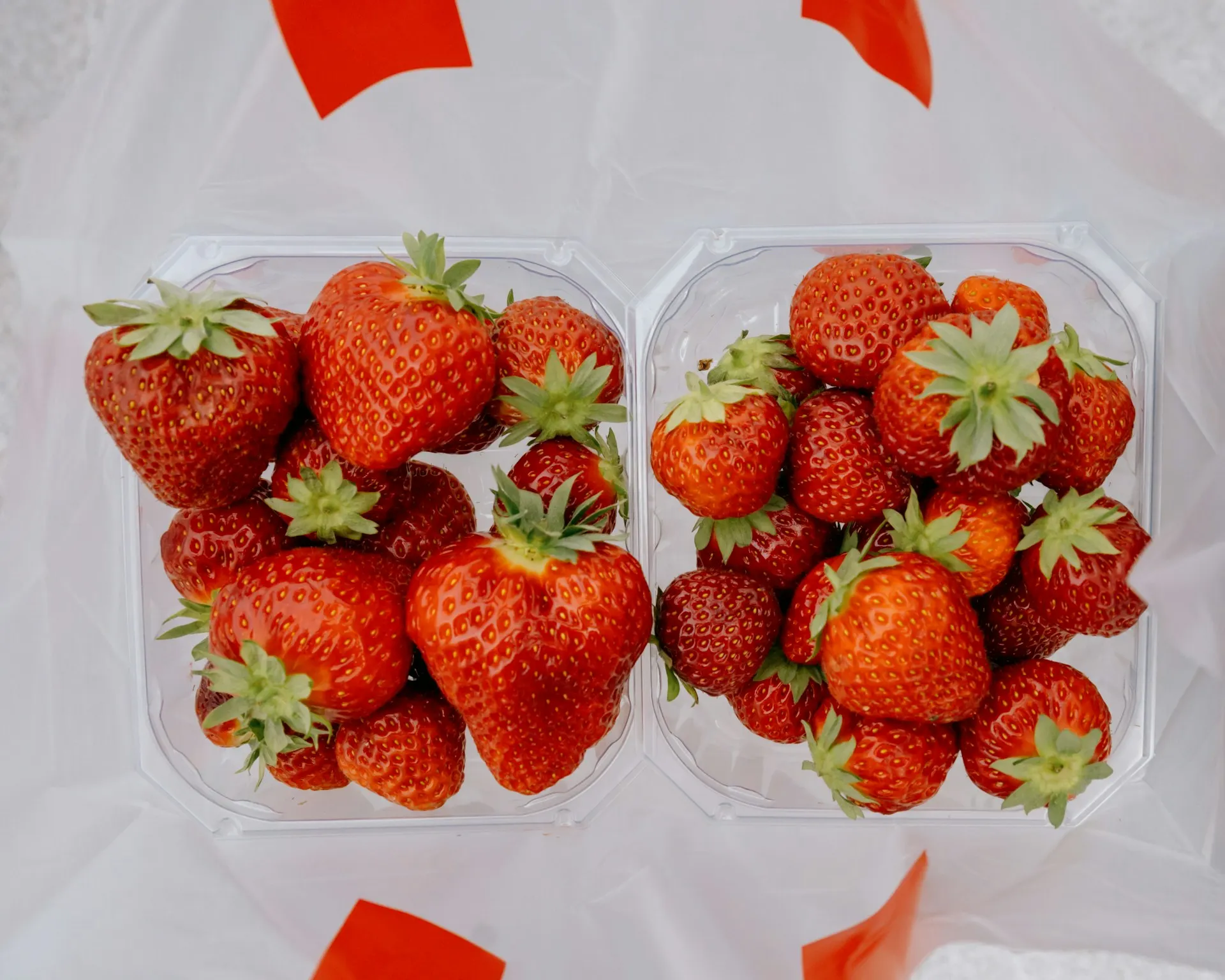 EXPLAINED: How Norwegians change their diet during the summer