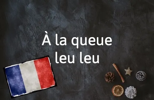 French Expression of the Day: À la queue leu leu