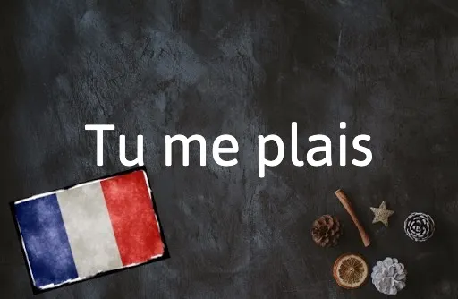 French Expression of the Day: Tu me plais