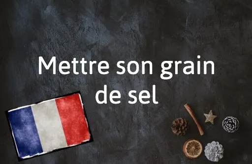 French Expression of the Day: Mettre son grain de sel