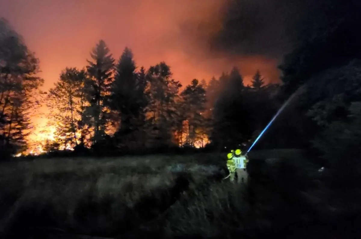 MAP: How to get the latest wildfire information and alerts in Germany