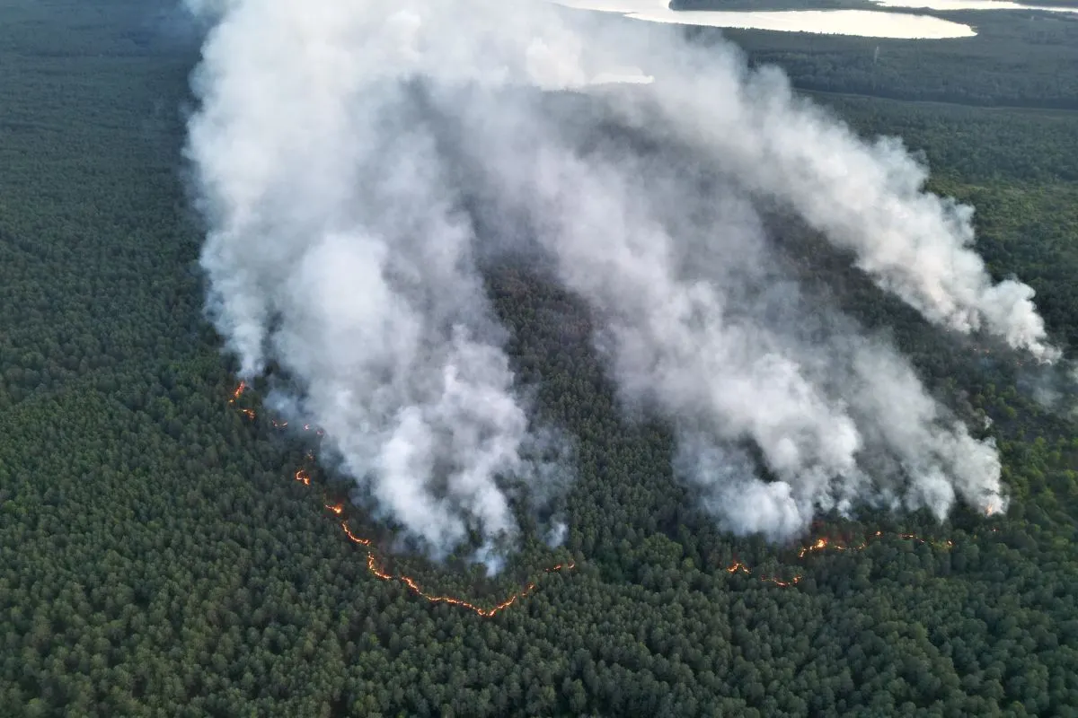 Unexploded munitions hamper fight against wildfire in north Germany