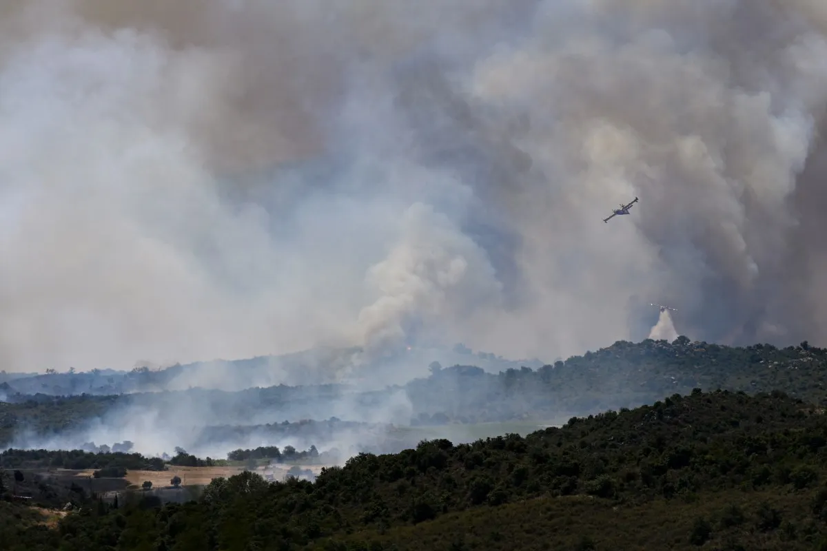 Wildfires and extreme heat damage forests in France, Spain and Portugal