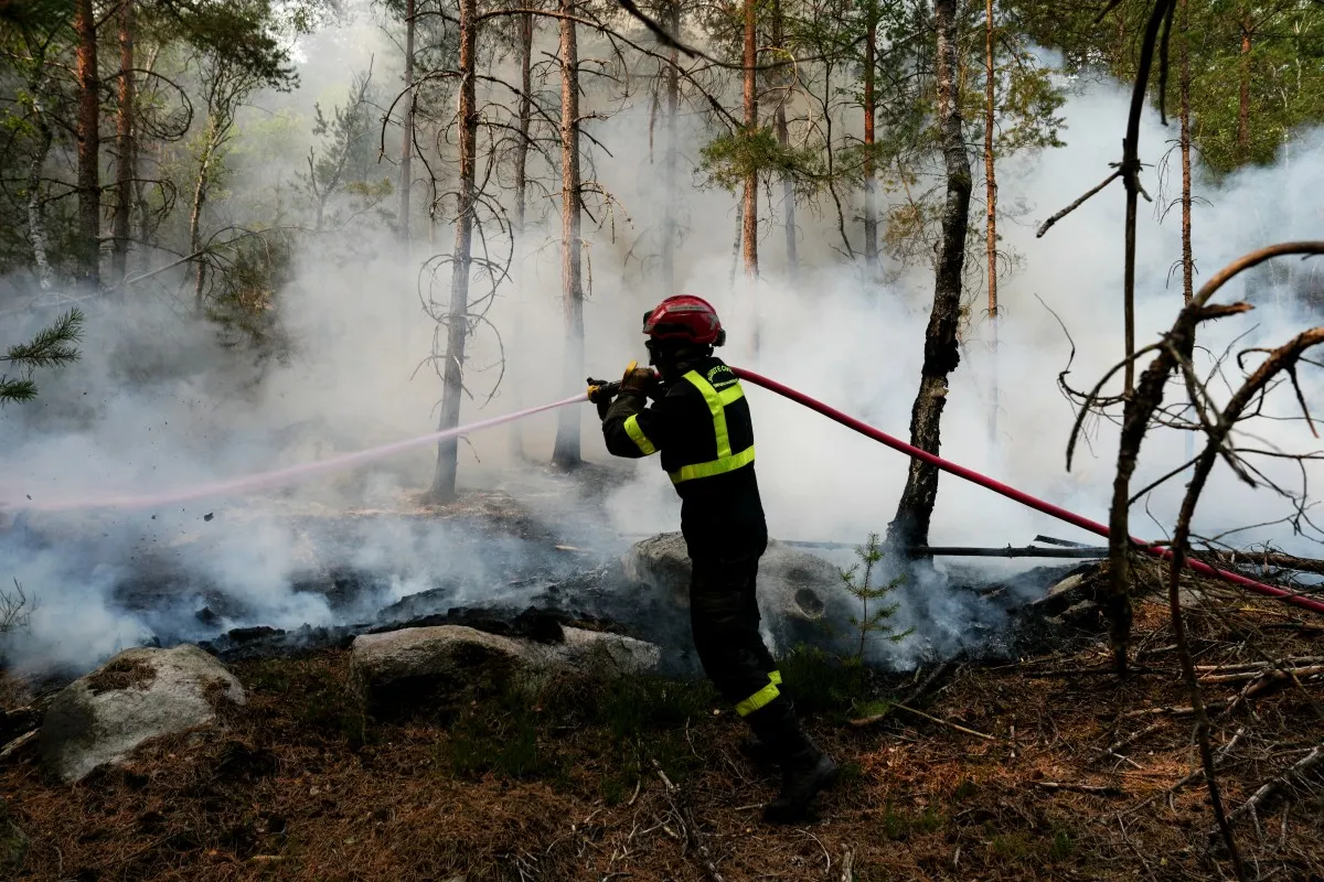 Wildfires that ravaged historic forest outside Paris contained