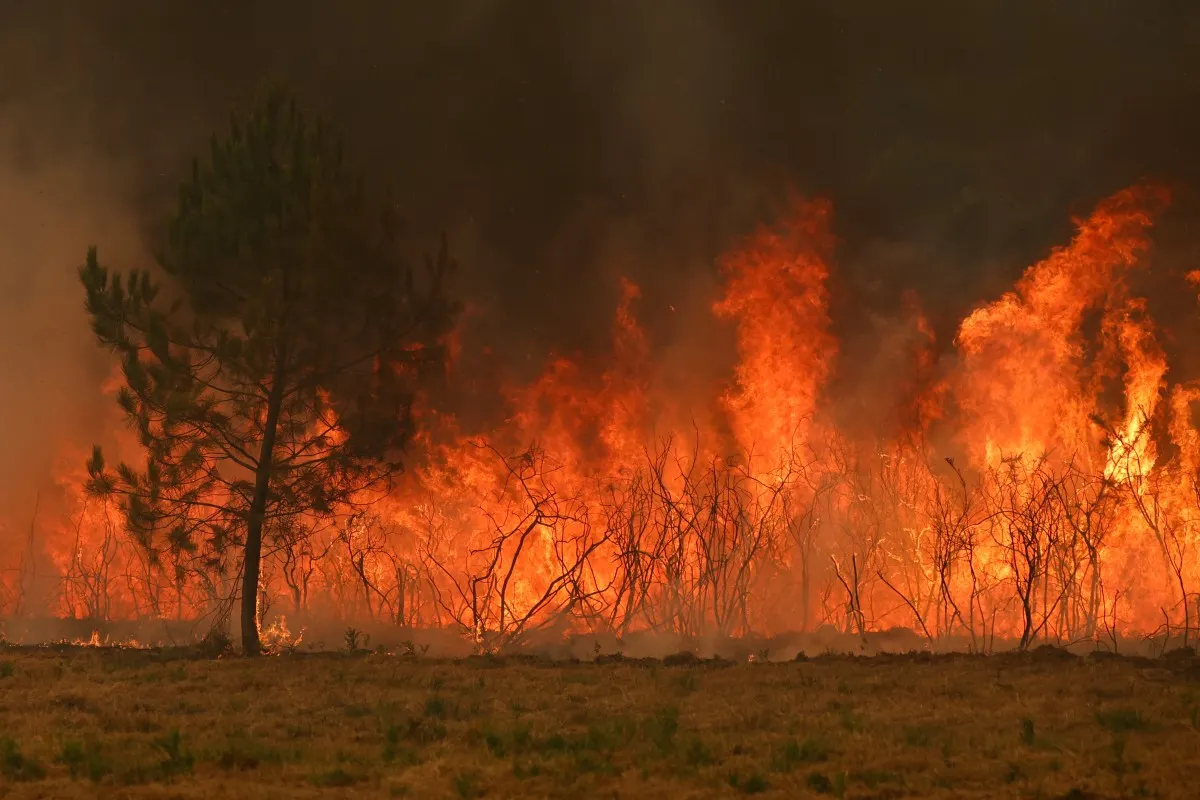 LATEST: Bordeaux wildfire evacuation plans and travel warnings