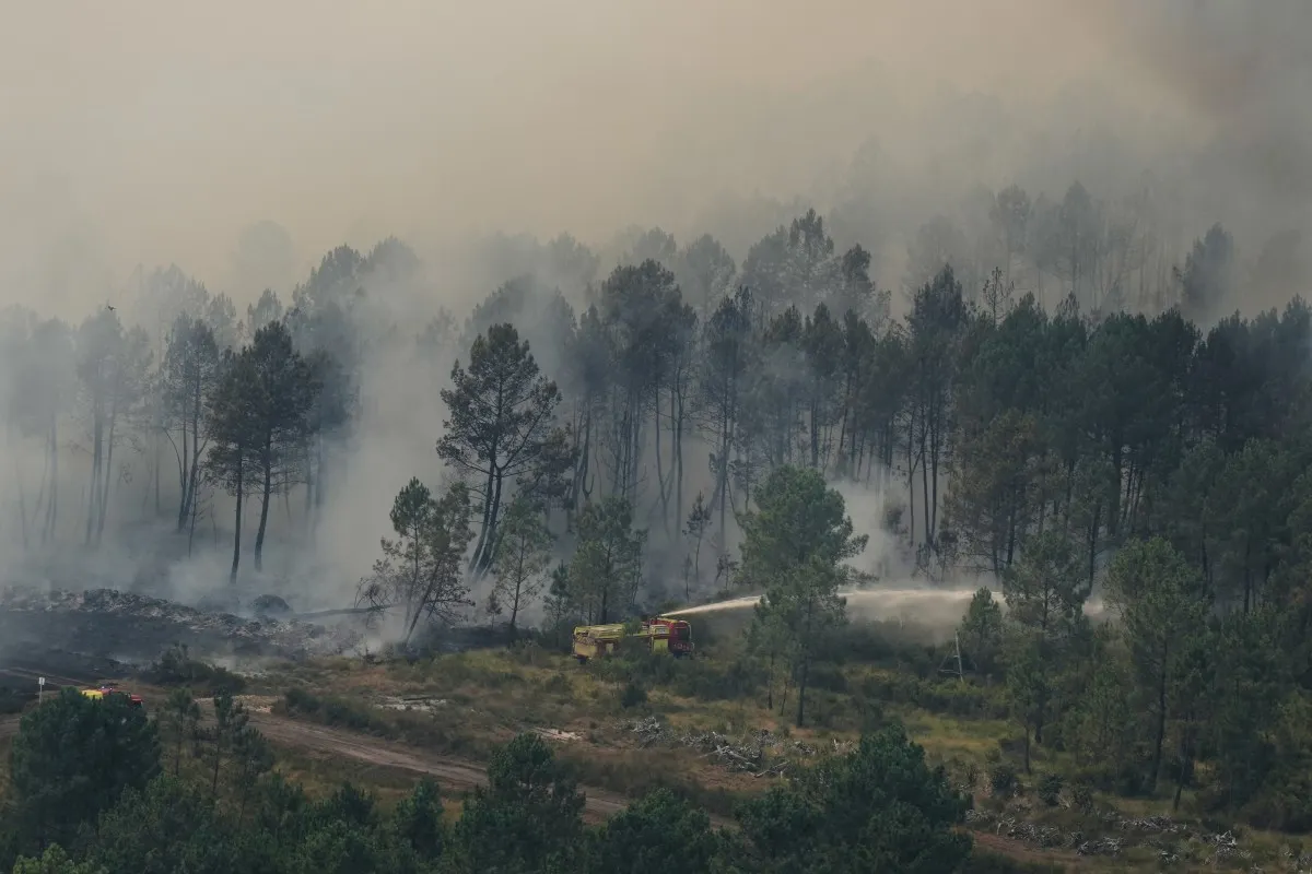 France's wildfire situation eases as situation in Gironde stabilises