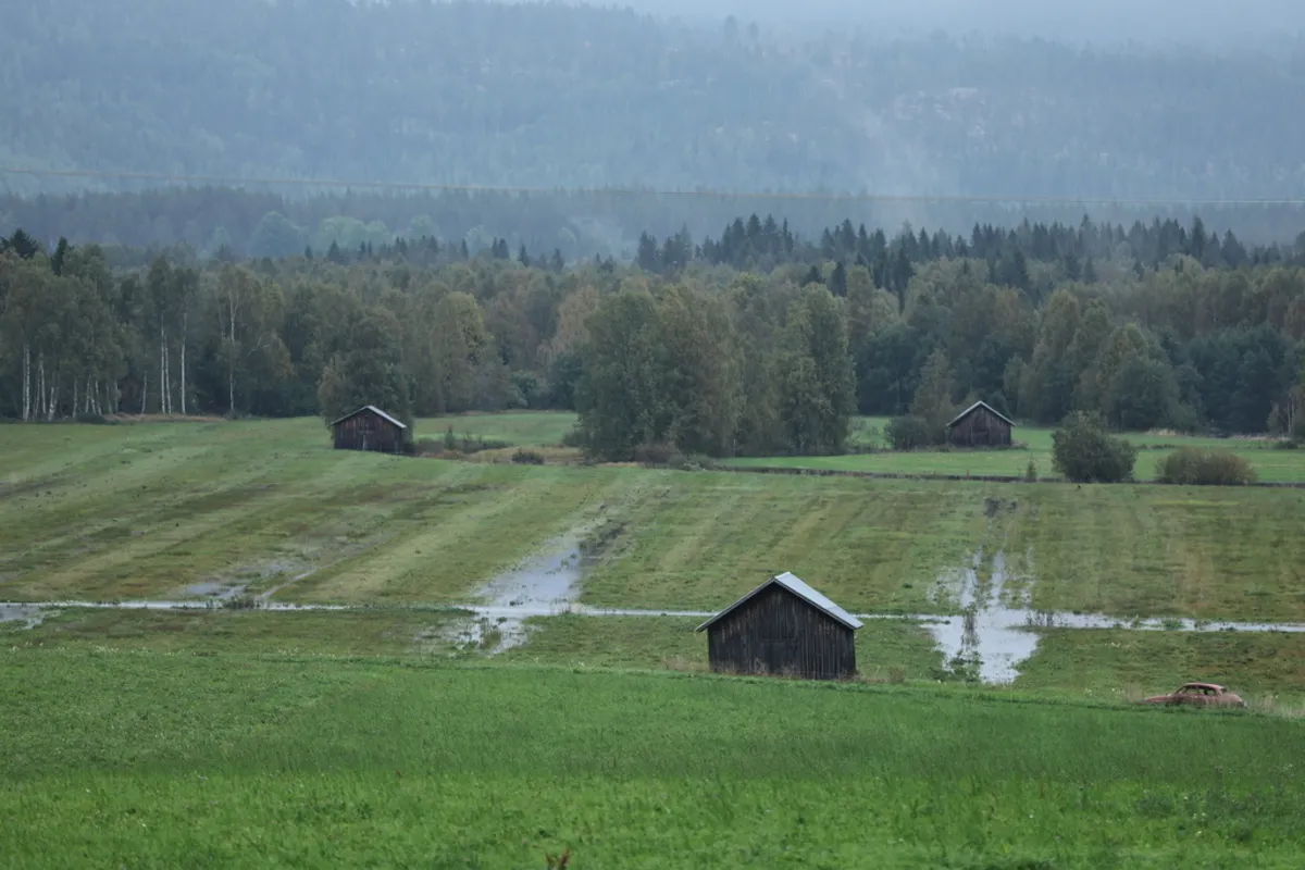 Swedish weather agency warns of torrential rain over weekend