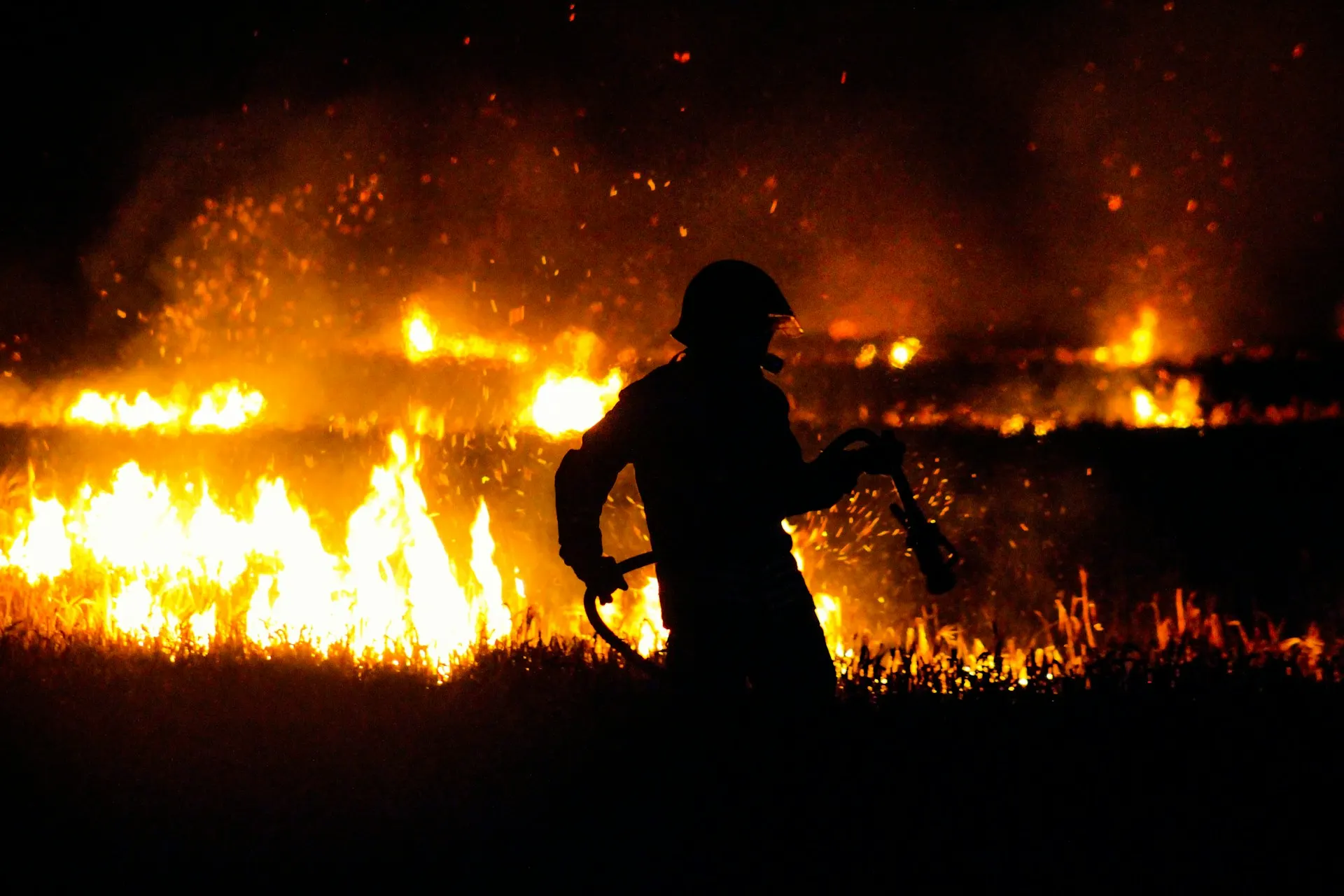 Forest fire warnings across large parts of Norway