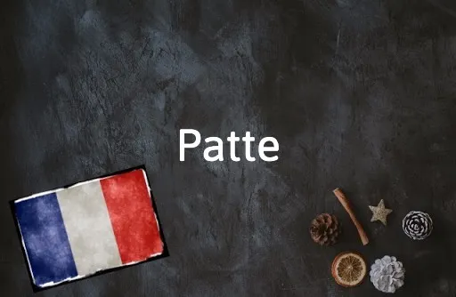 French Word of the Day: Patte