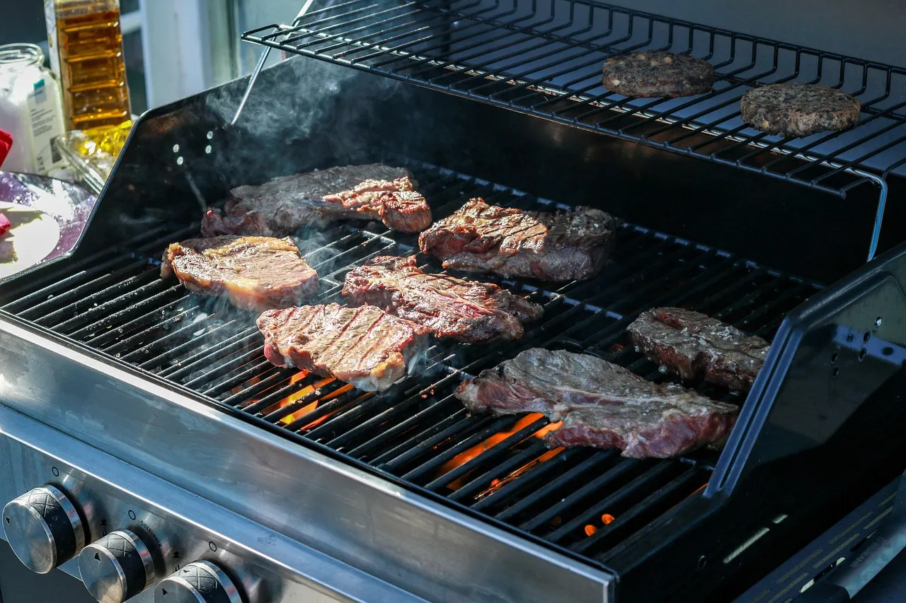 EXPLAINED: Is barbecuing in Switzerland allowed during the drought?
