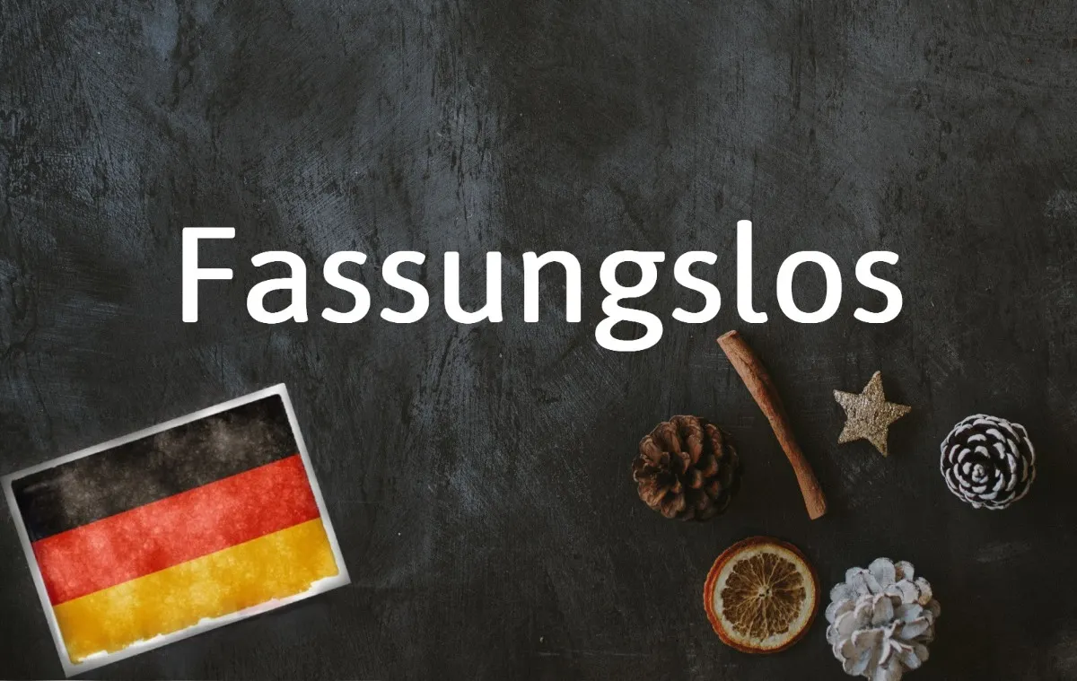 German word of the day: Fassungslos