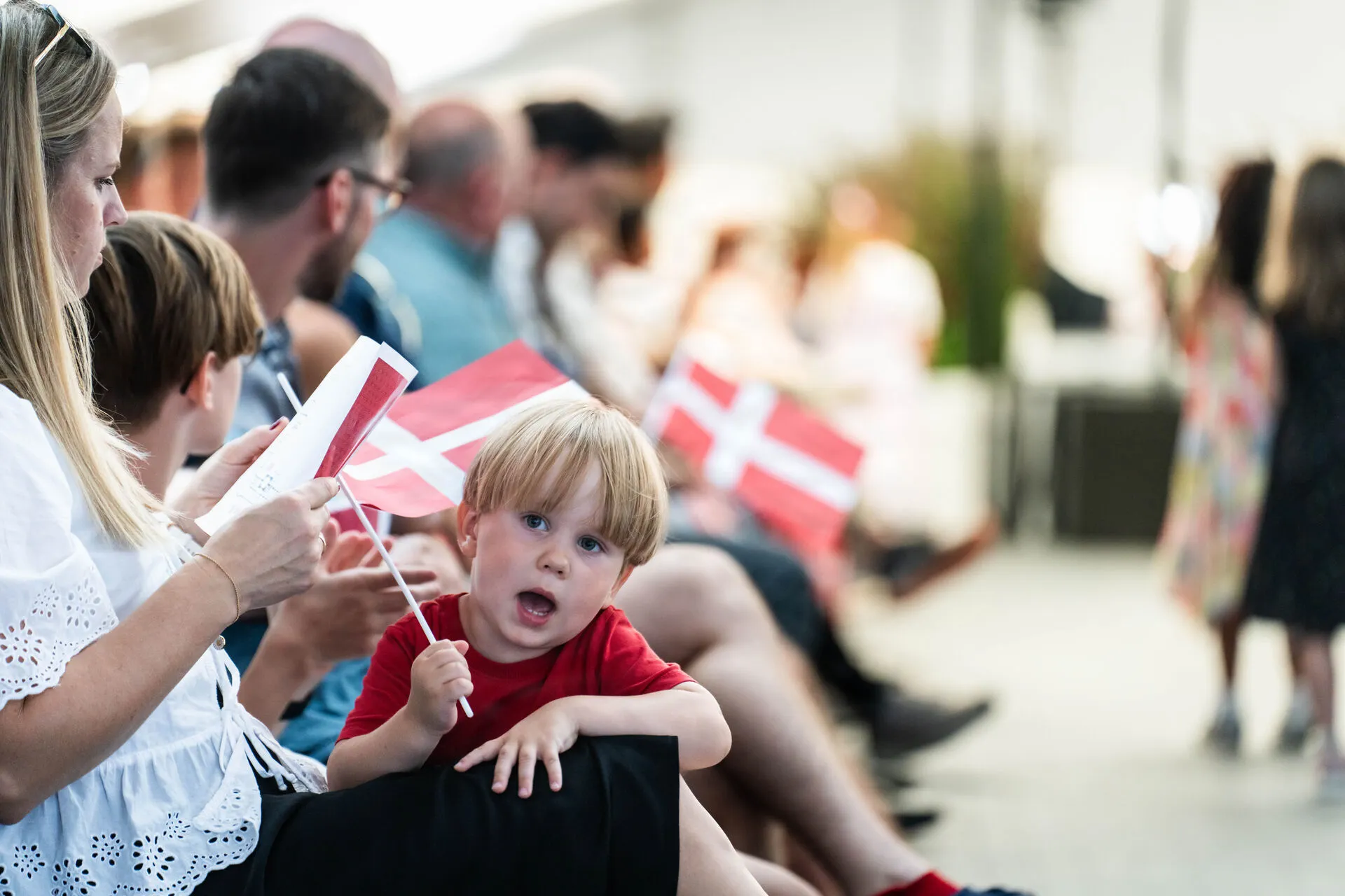 ANALYSIS: What are the chances of Danish citizenship being made 'provisional'?
