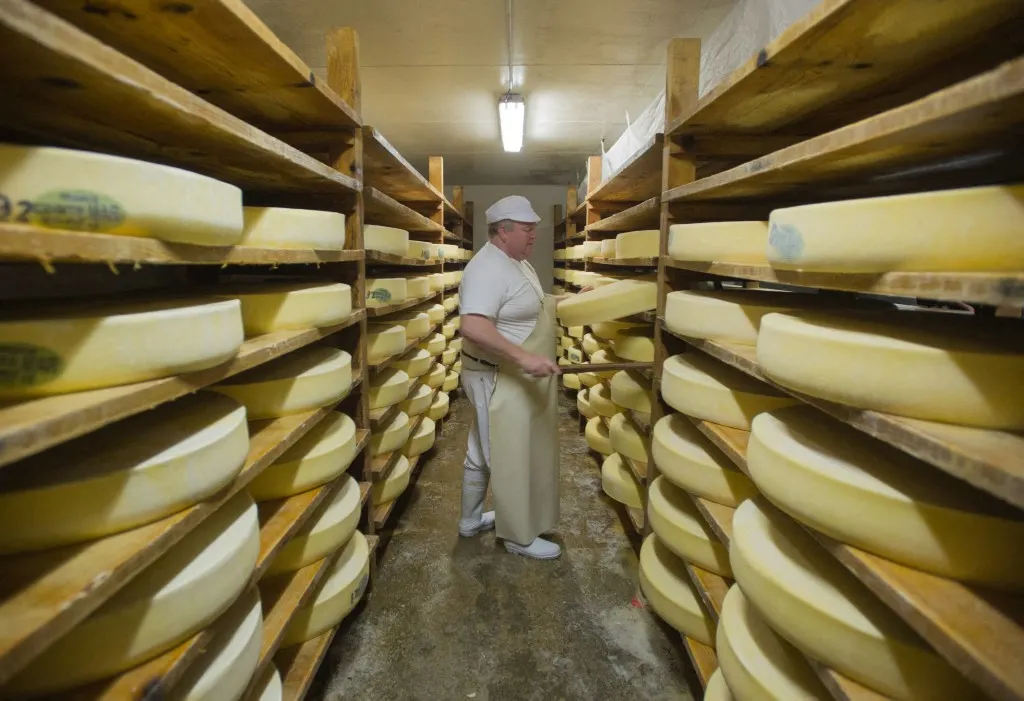 France temporarily relaxes rules for iconic cheeses amid drought and record heatwaves