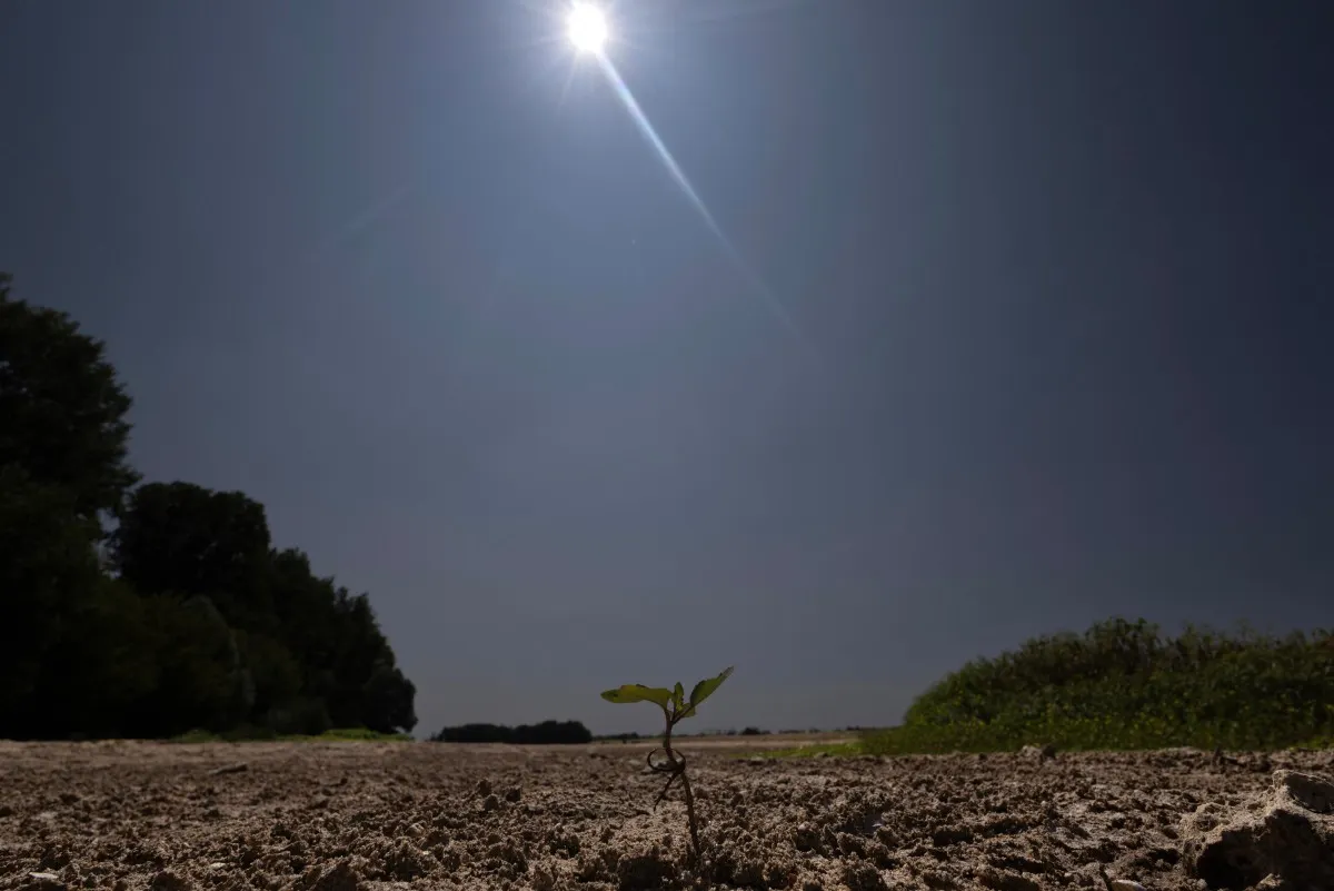 July is France’s hottest month on record, weather service says