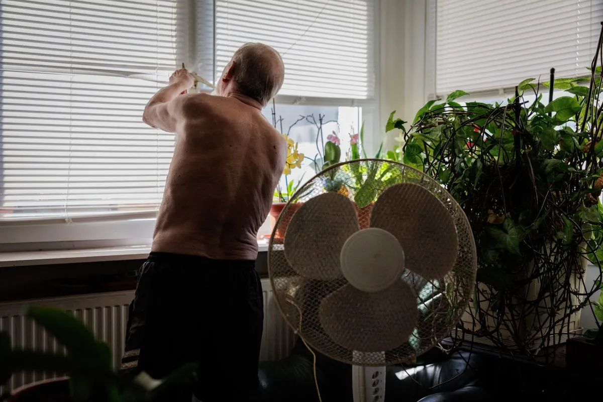 France reports more than 7,300 excess deaths amid prolonged record heatwaves