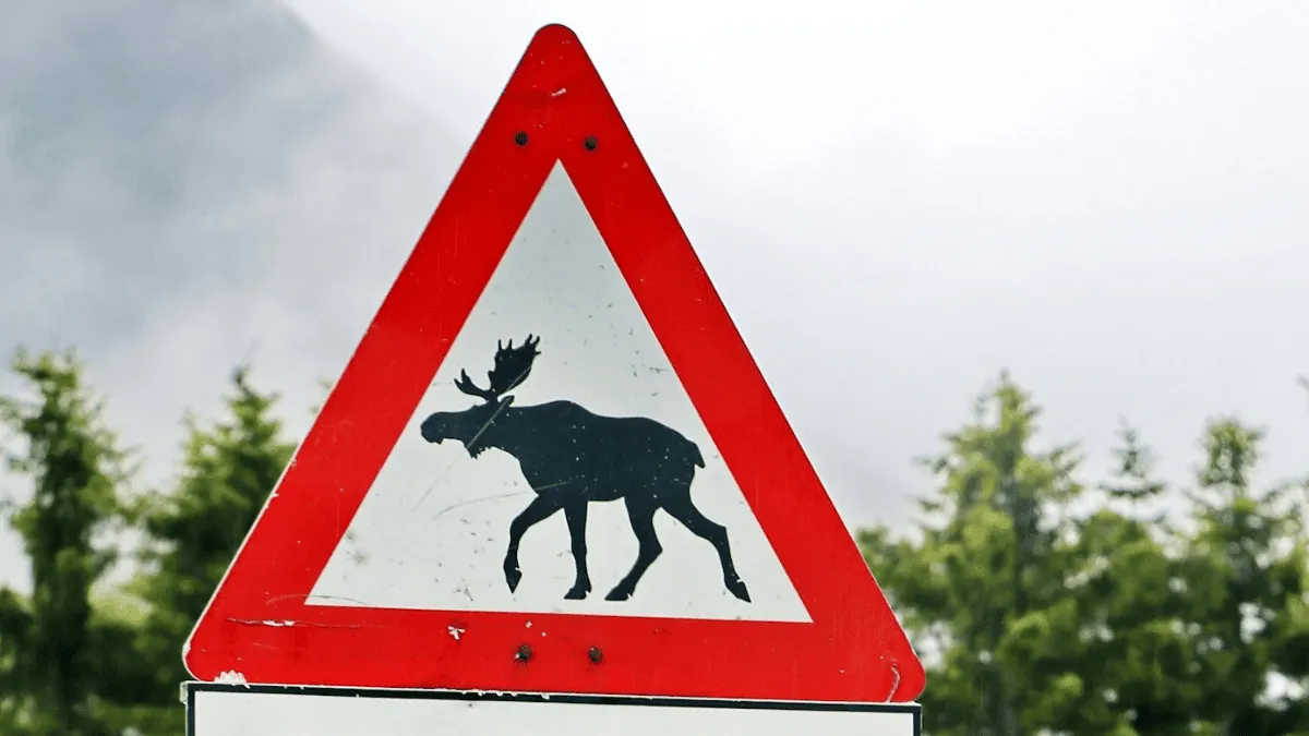 NATO troops suspected of stealing elk signs in Norway