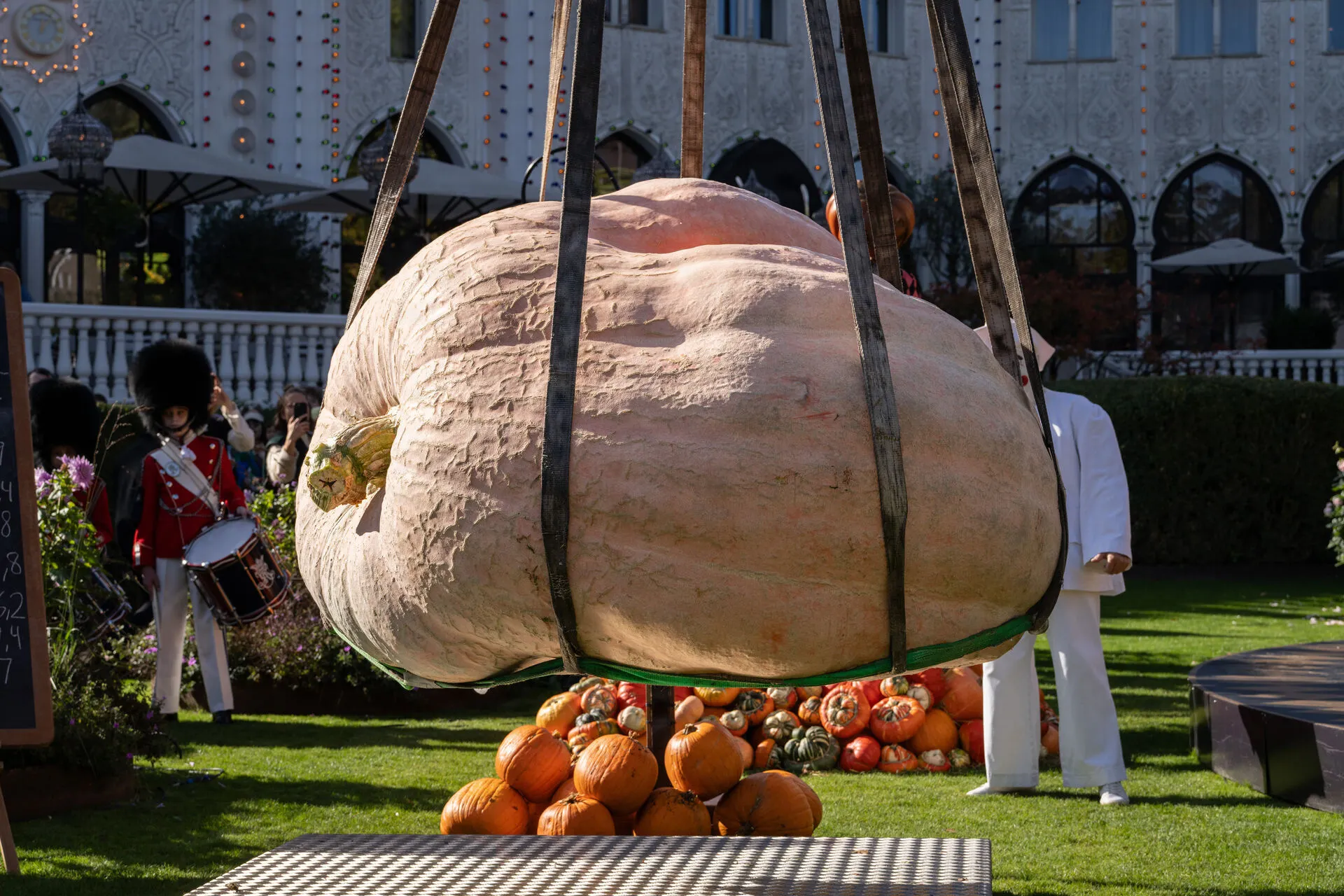 1.2 tonne pumpkin breaks Danish record at Tivoli