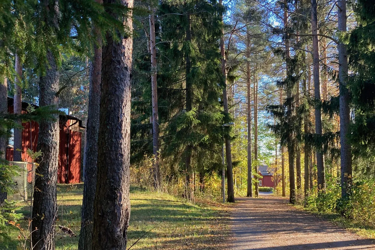 Inside Sweden: Remembering what I love about this country