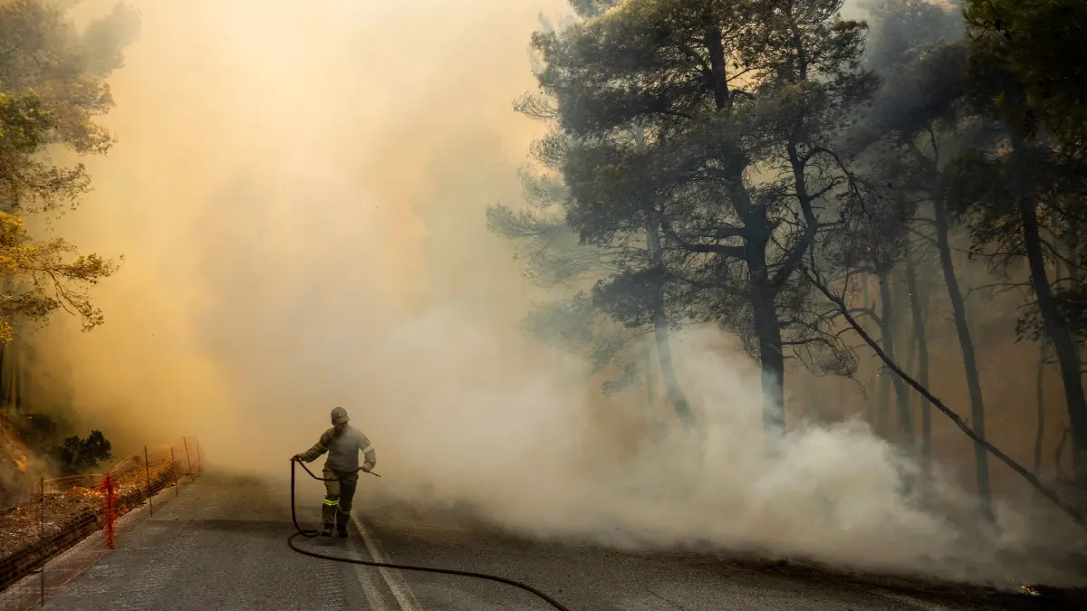 Will the European Union take up the climate fight after brutal heatwaves?