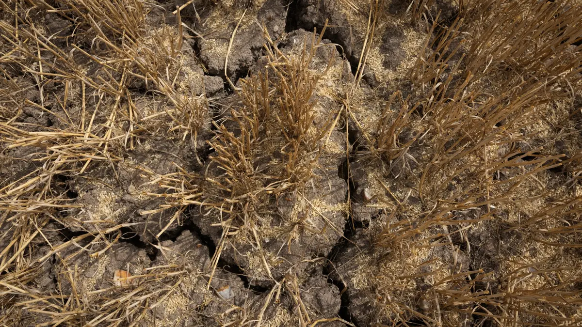 EXPLAINED: What to do if your French home is cracking because of drought