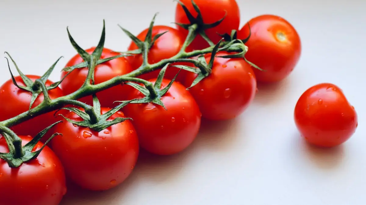 What to know about Austria's salmonella risk alert