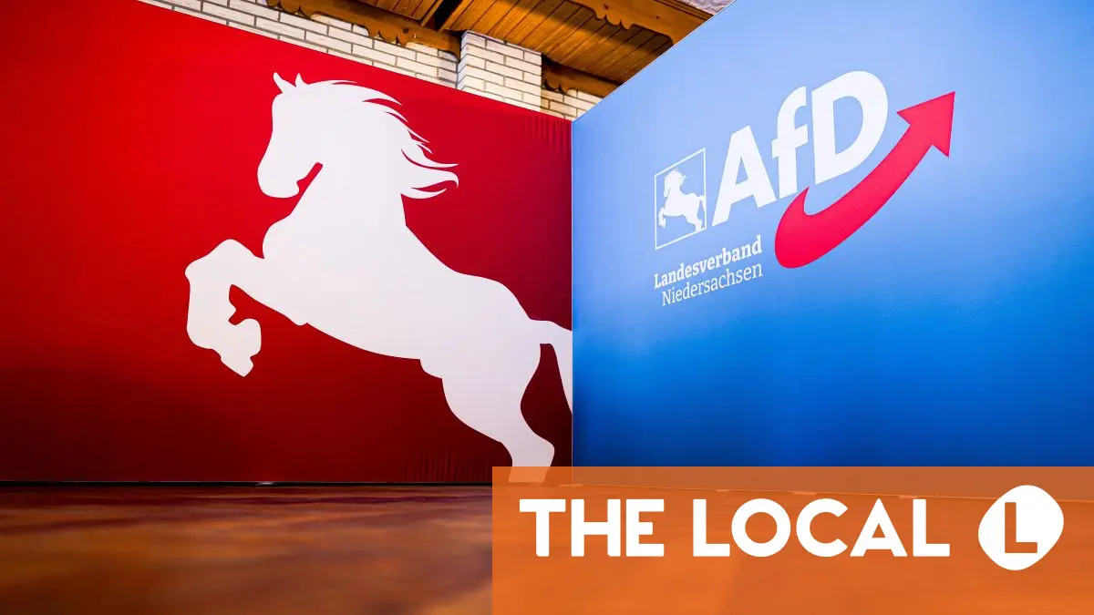 Court backs finding that AfD in Lower Saxony is anti-constitutional