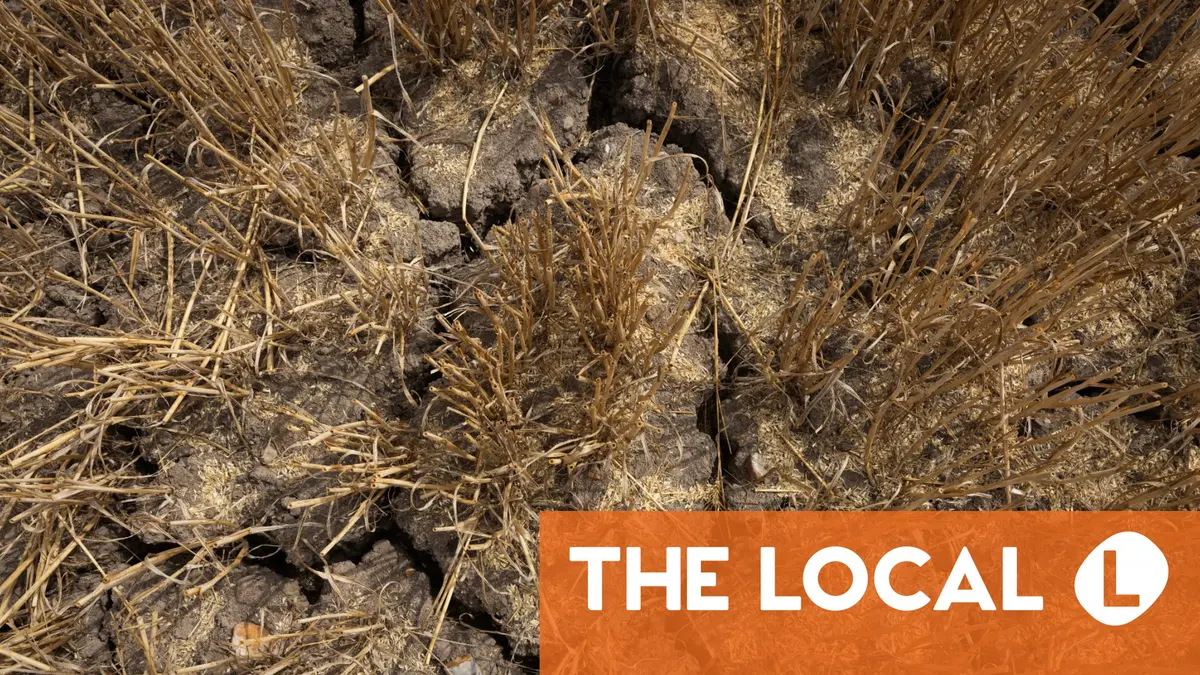 
            EXPLAINED: What to do if your French home is cracking because of drought
        