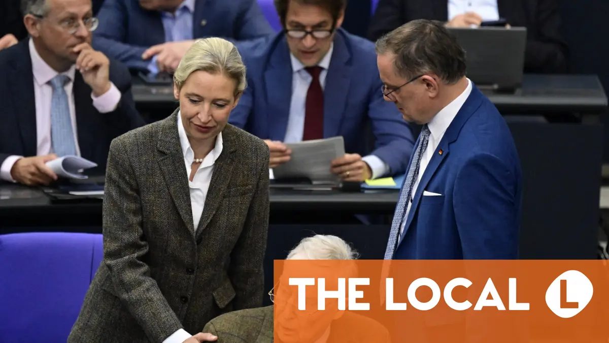 AfD Reports 421,000 Stolen Emails After September Breach